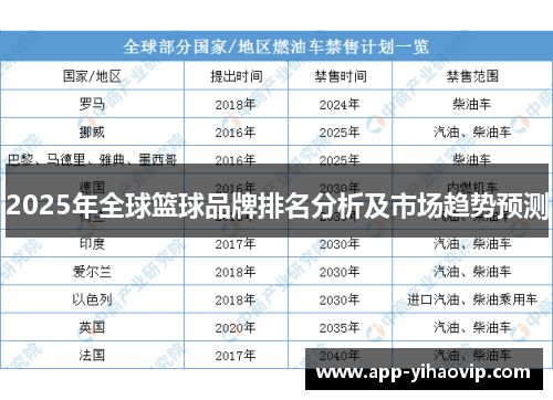 2025年全球篮球品牌排名分析及市场趋势预测