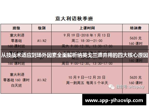 从技战术适应到场外因素全面解析纳英戈兰遭弃用的四大核心原因 从技战术适应到场外因素全面解析纳英戈兰遭弃用的四大核心原因