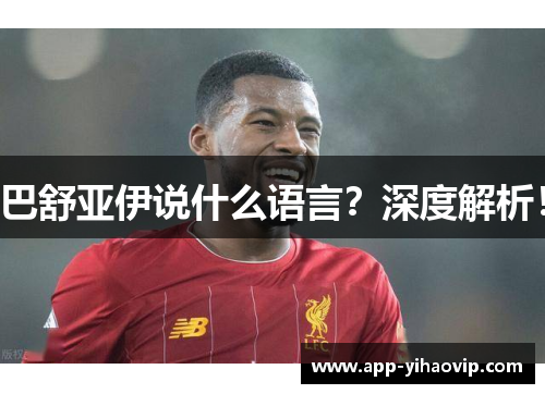 巴舒亚伊说什么语言?深度解析! 巴舒亚伊说什么语言?深度解析!